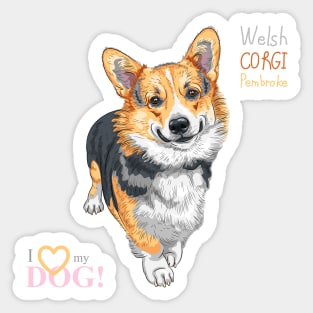 Вog Pembroke Welsh corgi Sticker